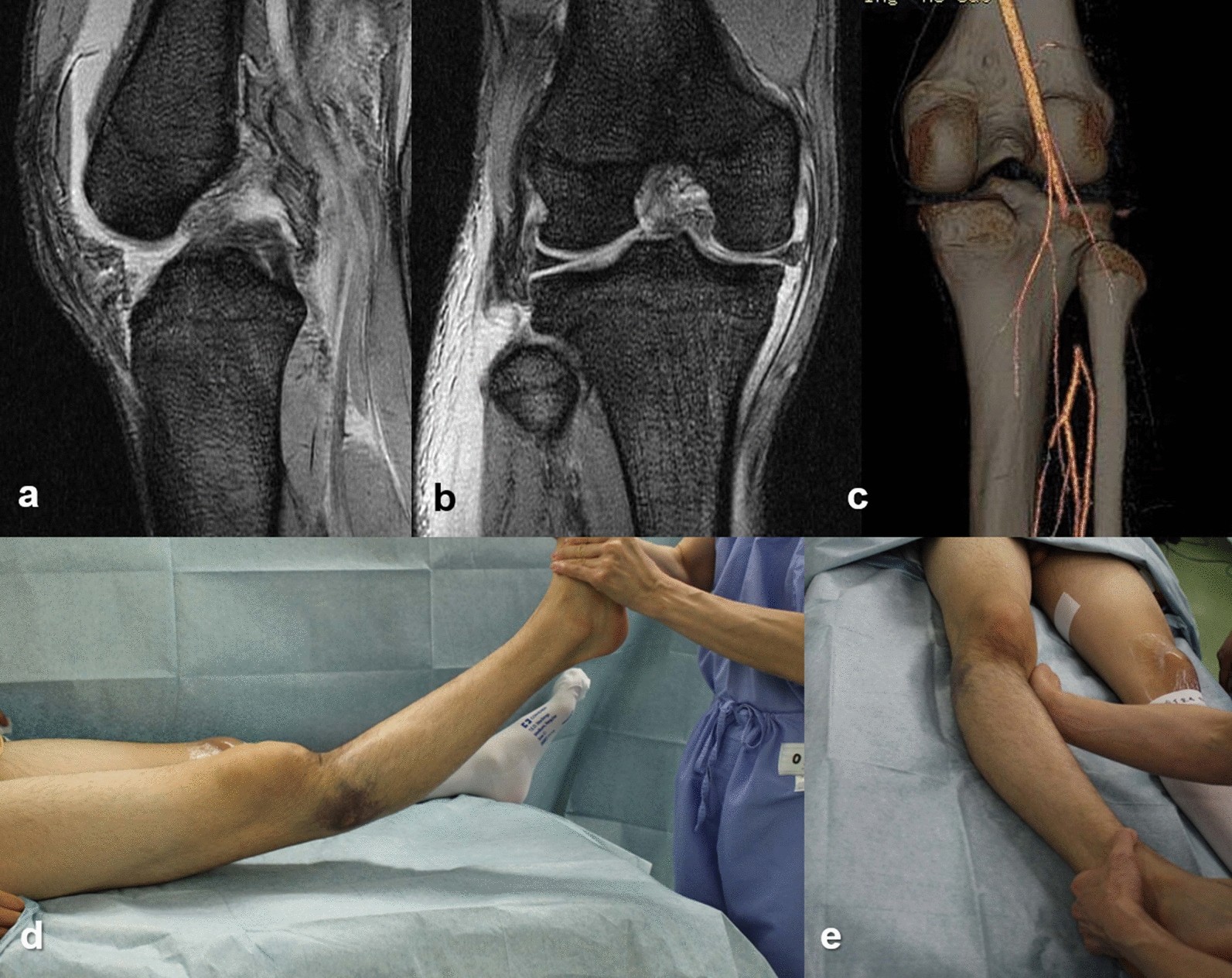 Fig. 2