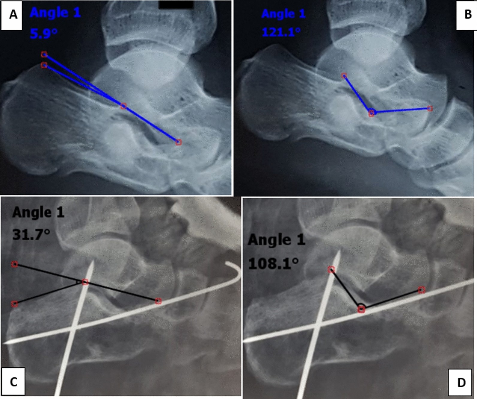 Fig. 6