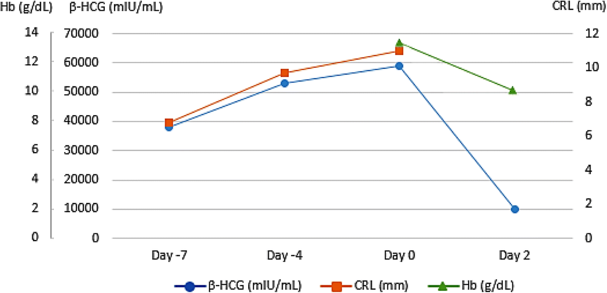 Fig. 1