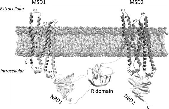 Fig. 1