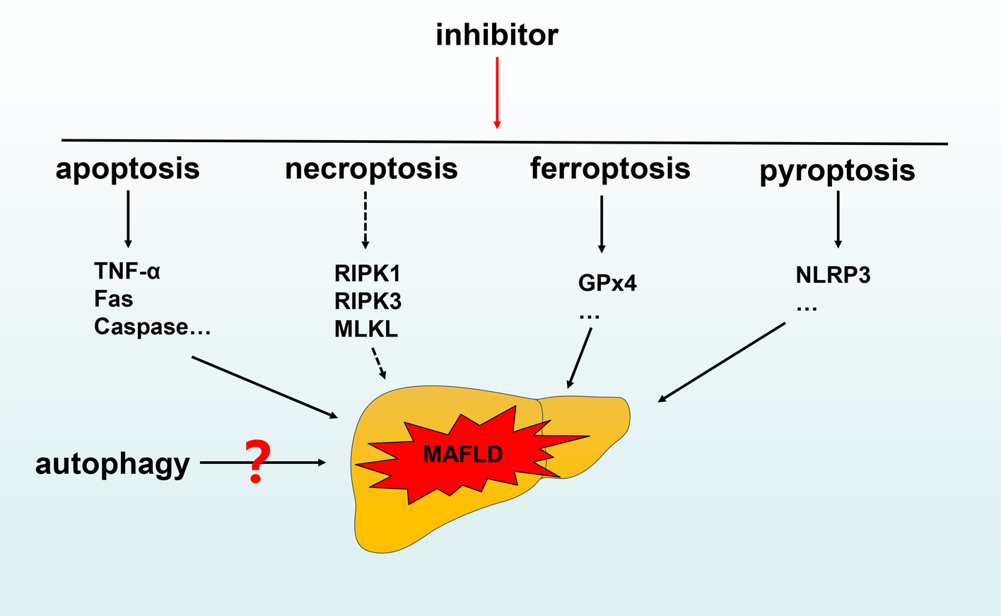 Fig. 7