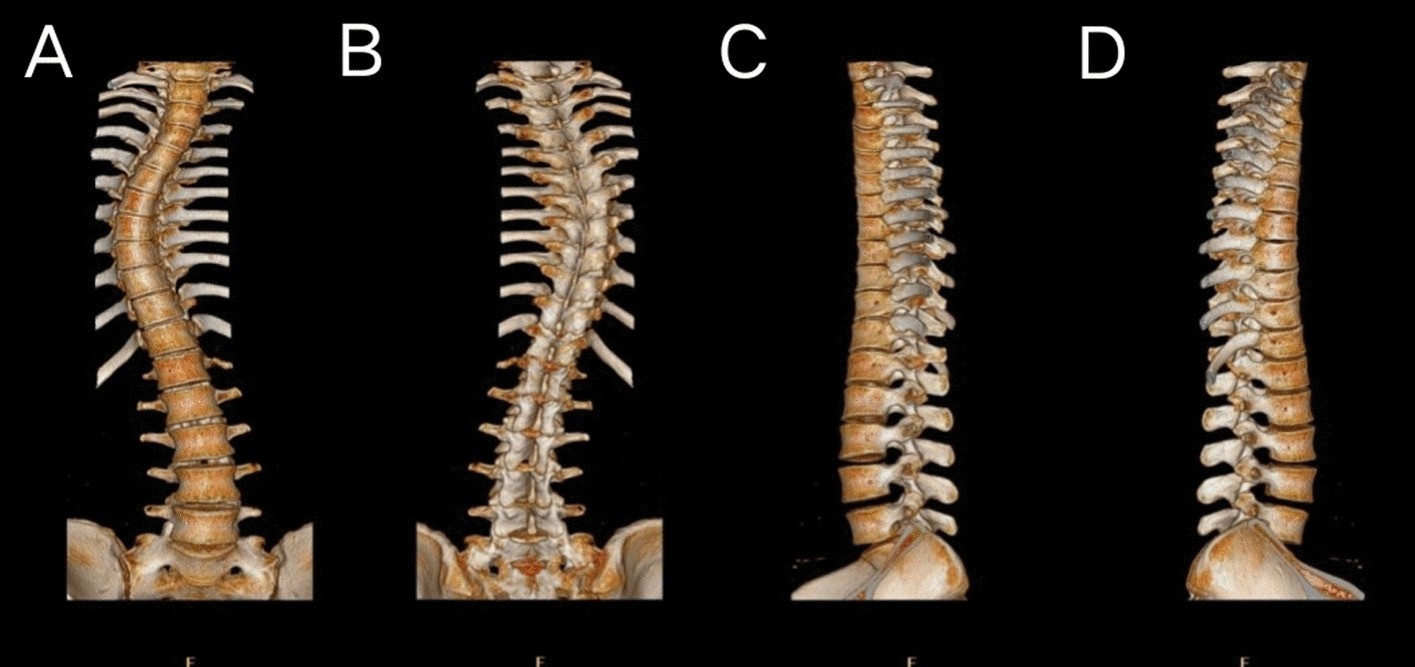 Fig. 4