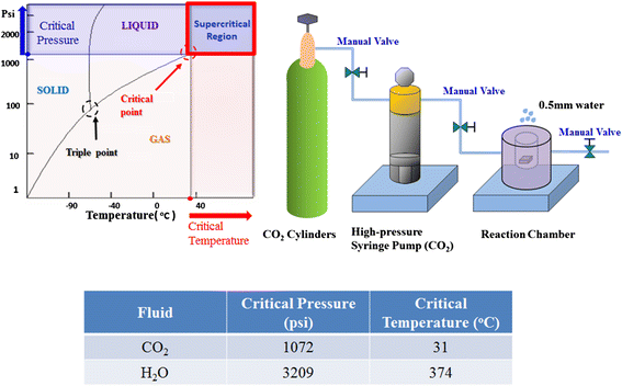 Figure 30