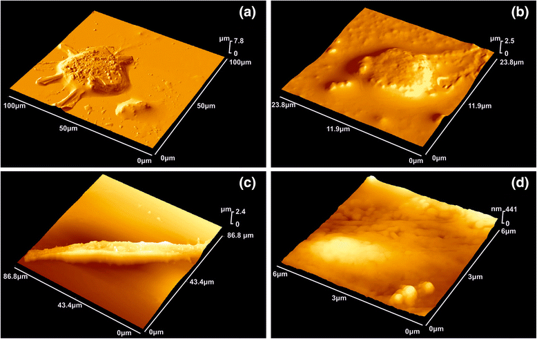 Figure 15