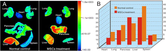 Fig. 11