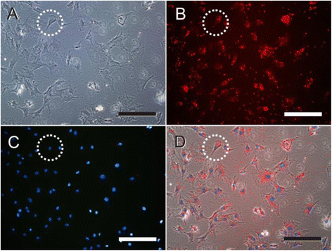 Fig. 8