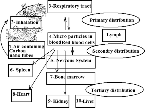 Fig. 12