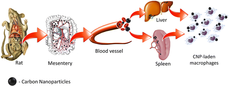 Fig. 10