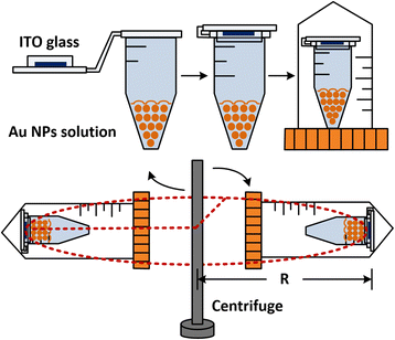 Fig. 1