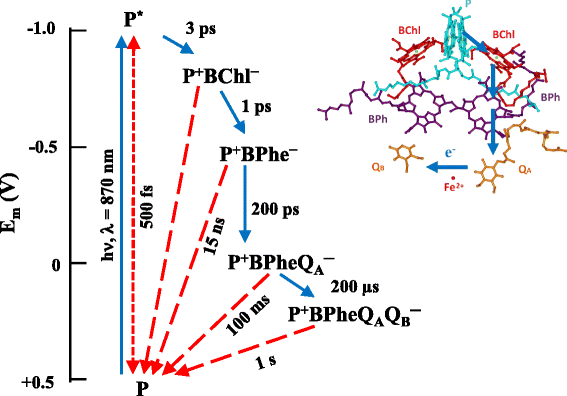 Fig. 4