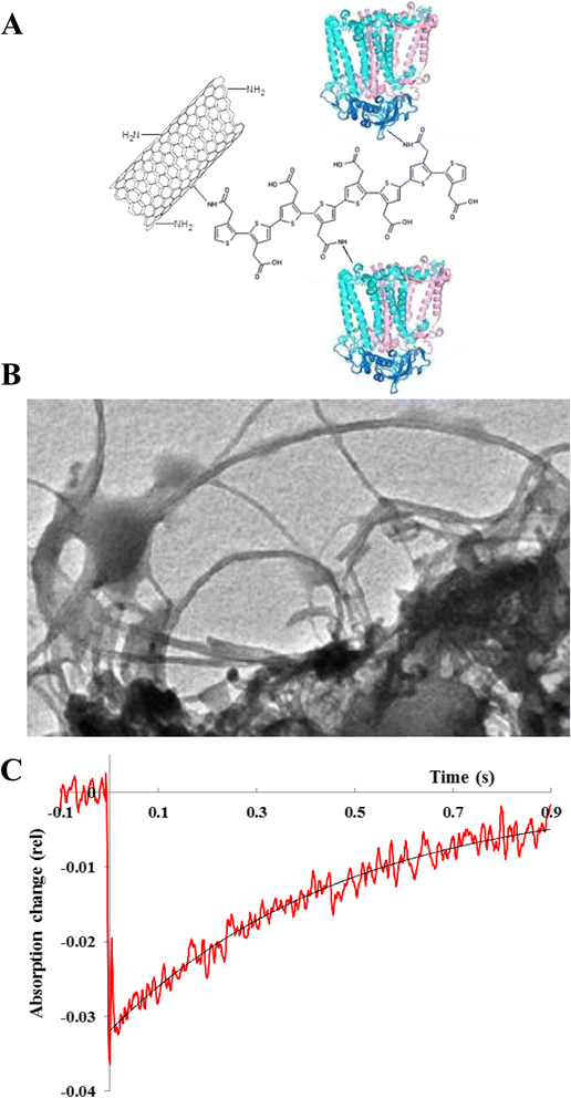 Fig. 7