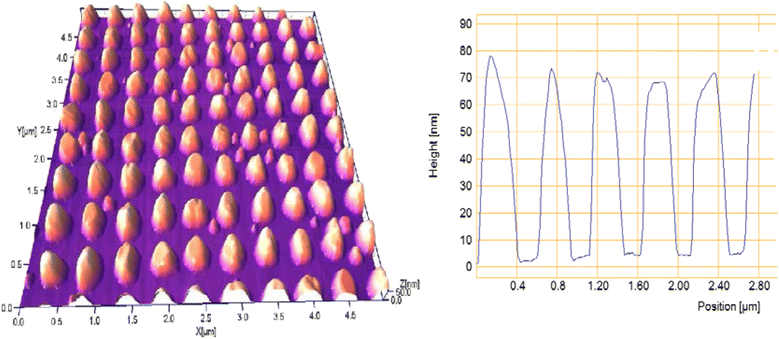 Fig. 6