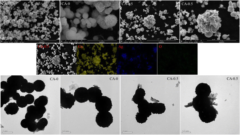 Fig. 10