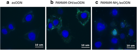 Fig. 9