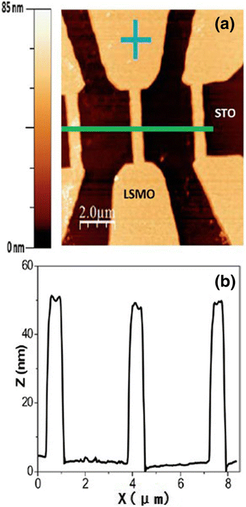 Fig. 10