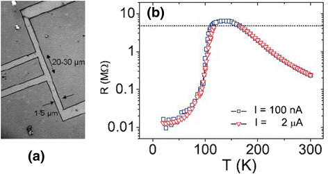 Fig. 12