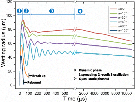 Fig. 8