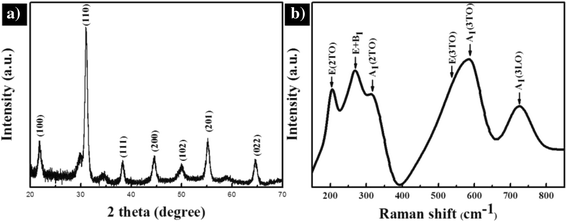 Fig. 3