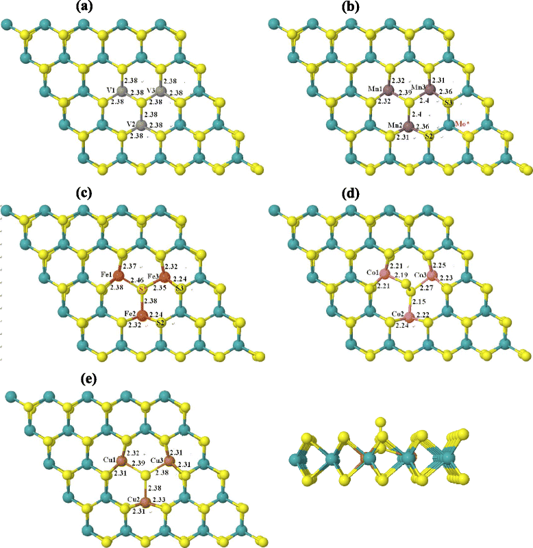 Fig. 8