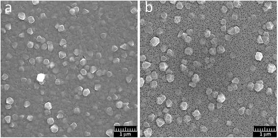 Fig. 13