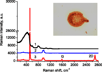 Fig. 1