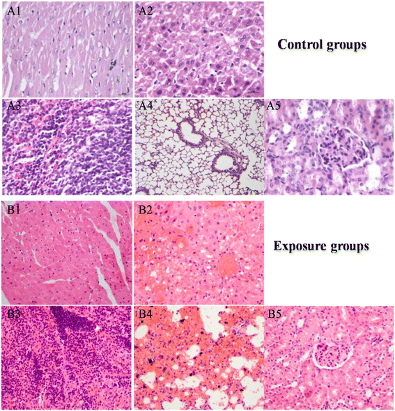 Fig. 8