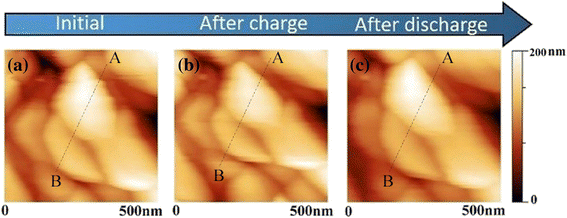 Fig. 6