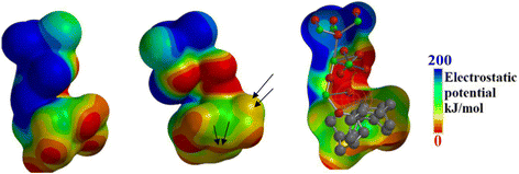 Fig. 10