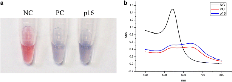 Fig 6