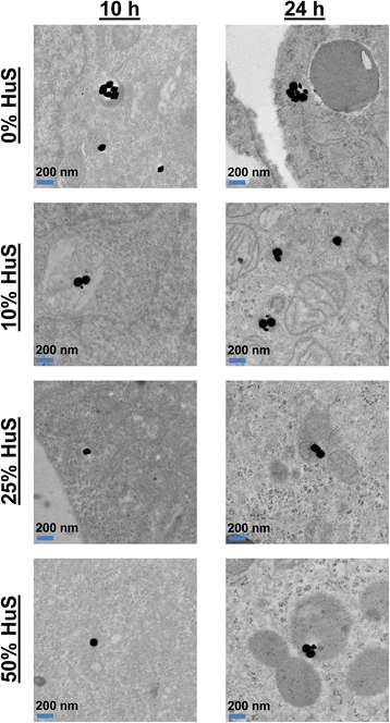 Fig. 5