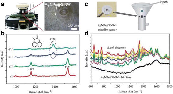 Fig. 10