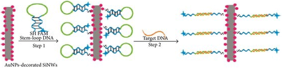 Fig. 11