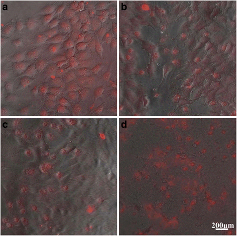 Fig. 10