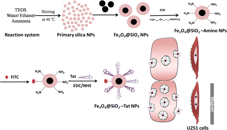 Scheme 1