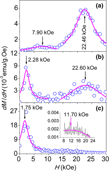 Fig. 10