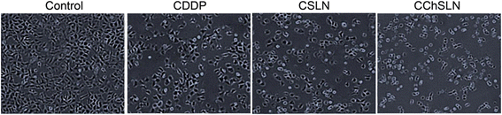 Fig. 8