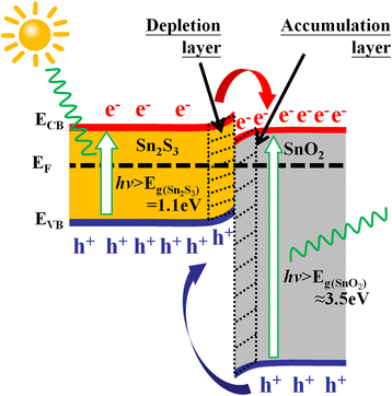 Fig. 5