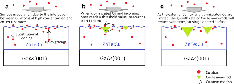 Fig. 5