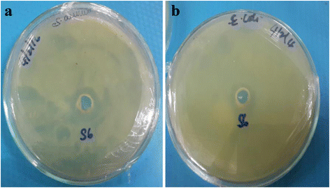 Fig. 12