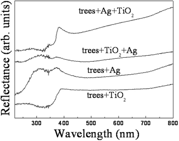 Fig. 12