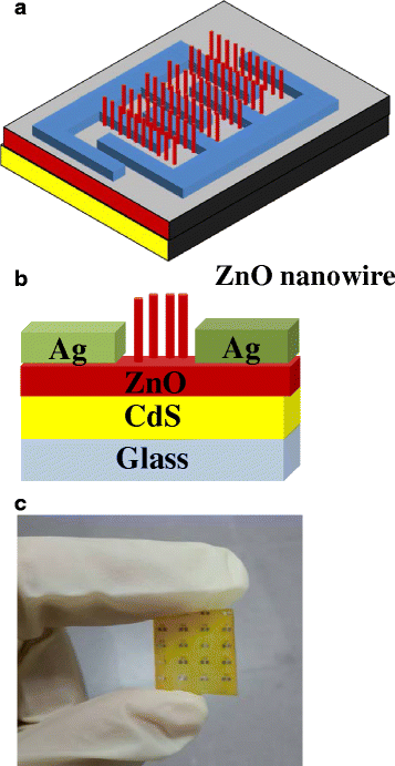 Fig. 1