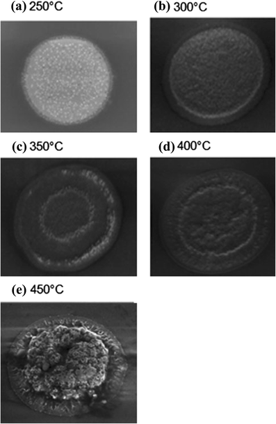 Fig. 13