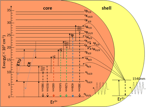 Fig. 8