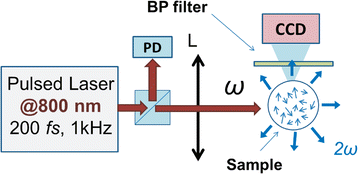 Fig. 1