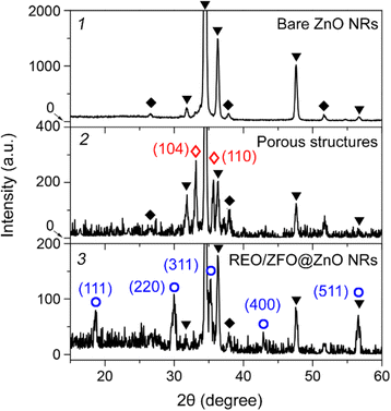 Fig. 3