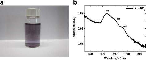 Fig. 3