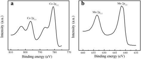 Fig. 3