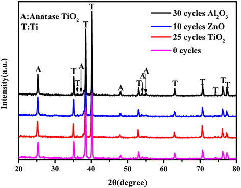 Fig. 3