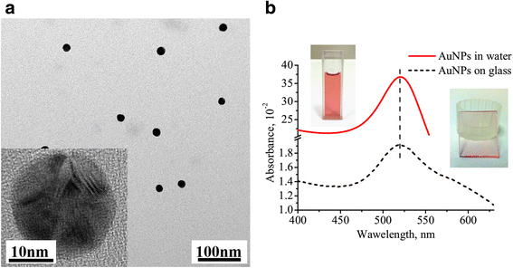 Fig. 1