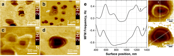 Fig. 10